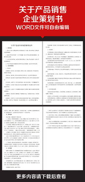 企业营销策划书 精准定位与数字化增长战略